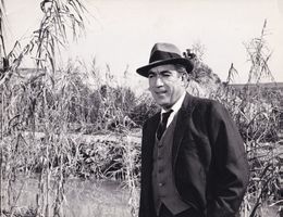 ANTHONY QUINN - Orig. Pressefoto 1964