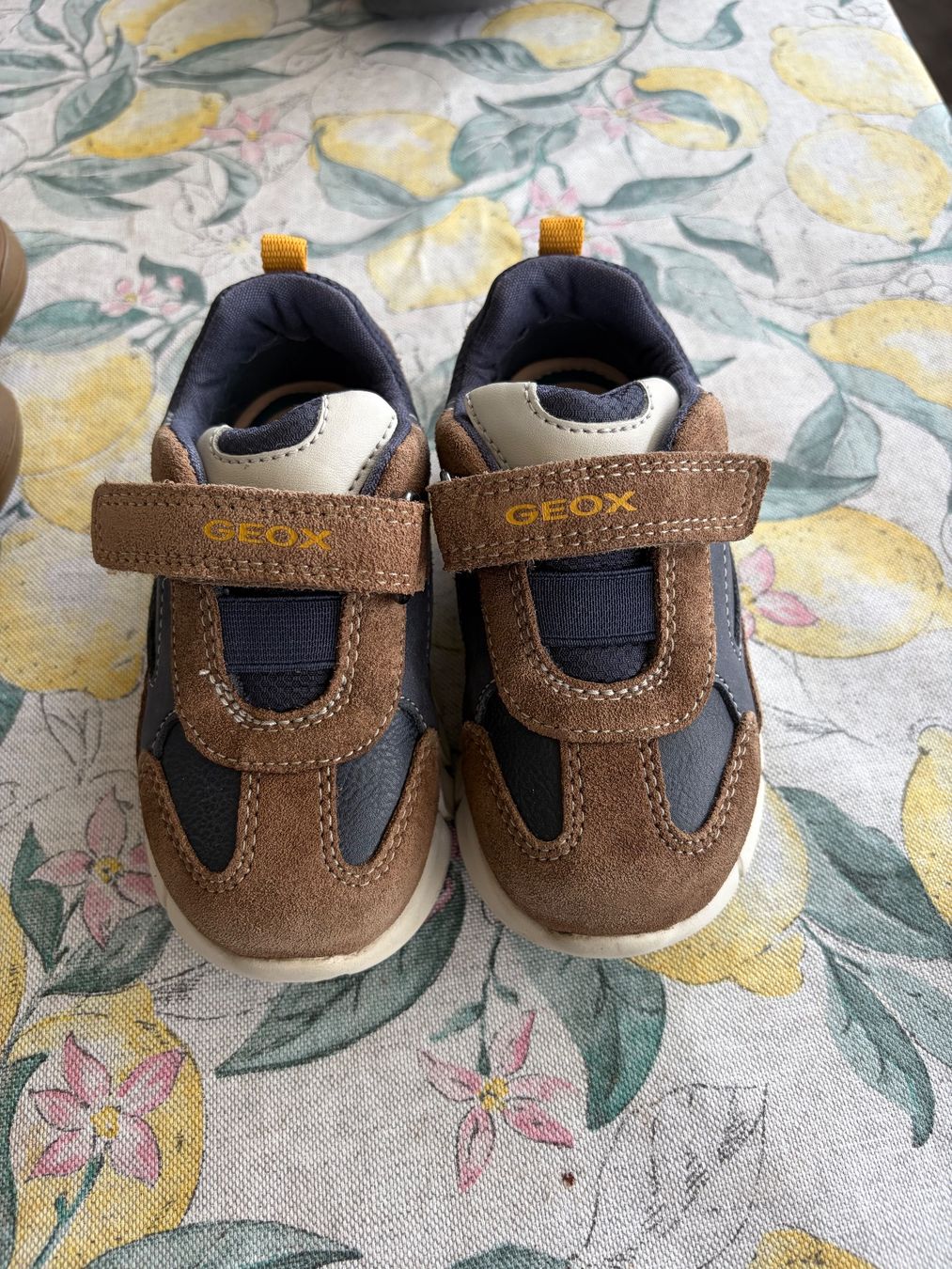 Geox Schuhe für Jungen: Geox Herbst Schuhe – Gebraucht aus Schlieren von gor_jgx7