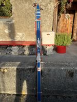 Vintage Skis - Dizner Extra - nostalgisch Ski Alpin!
