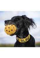 Lochball mit Schelle   speziell für sehbehinderte & blinde