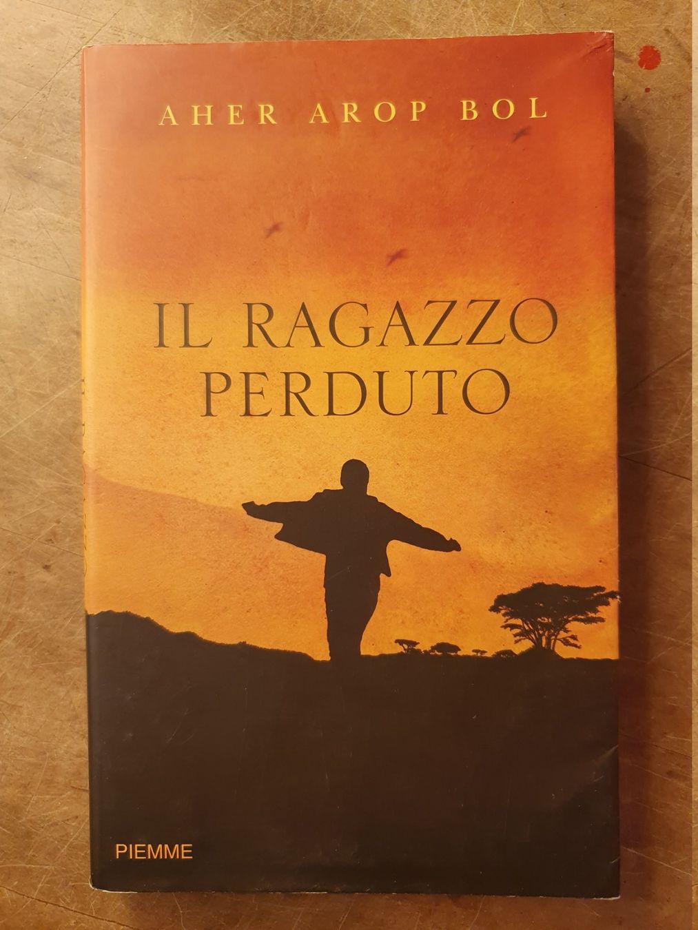 Libri: Li Ragazzo Perduto - Aher Arop Bol – Usato da Zürich venduto da loosebone