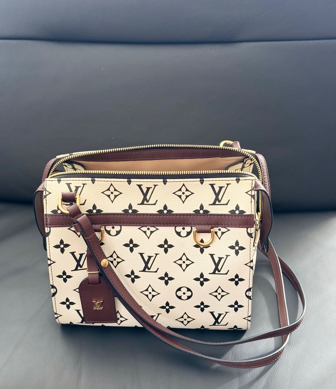 Louis Vuitton Borse da donna: Louis Vuitton Speedy Amazon PM – Usato da Reinach AG venduto da RobbisB 8