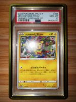Premium Slab Guard für PSA Graded Cards / Viele Farben / OVP