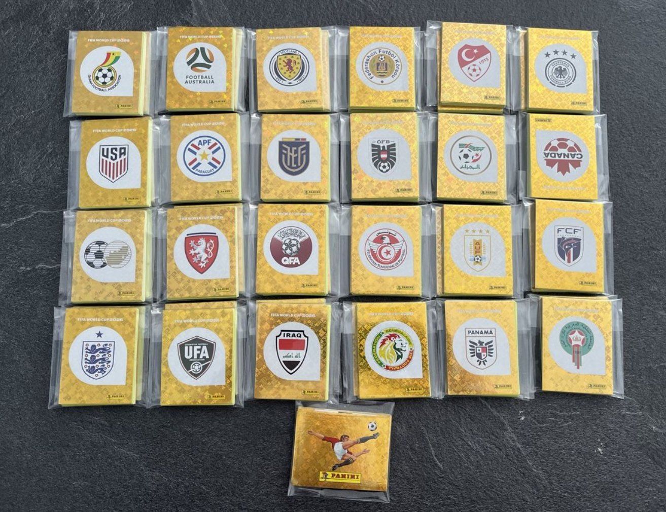 Panini Cartes à collectionner: Komplettes WM 2026 Panini Set – D'occasion à Vaduz par SVL
