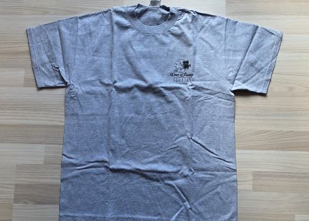 The Walt Disney Studios T-Shirt - grau