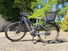 Ibex Damen E-Bike mit Bosch Motor (Grösse S)