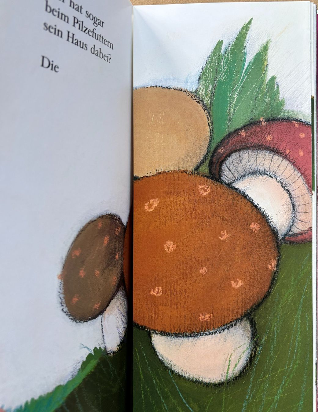 Bücher: Bohems Tierleben, Kraut und Rüben – Neu (gemäss Beschreibung) aus Sarnen von Livres 2
