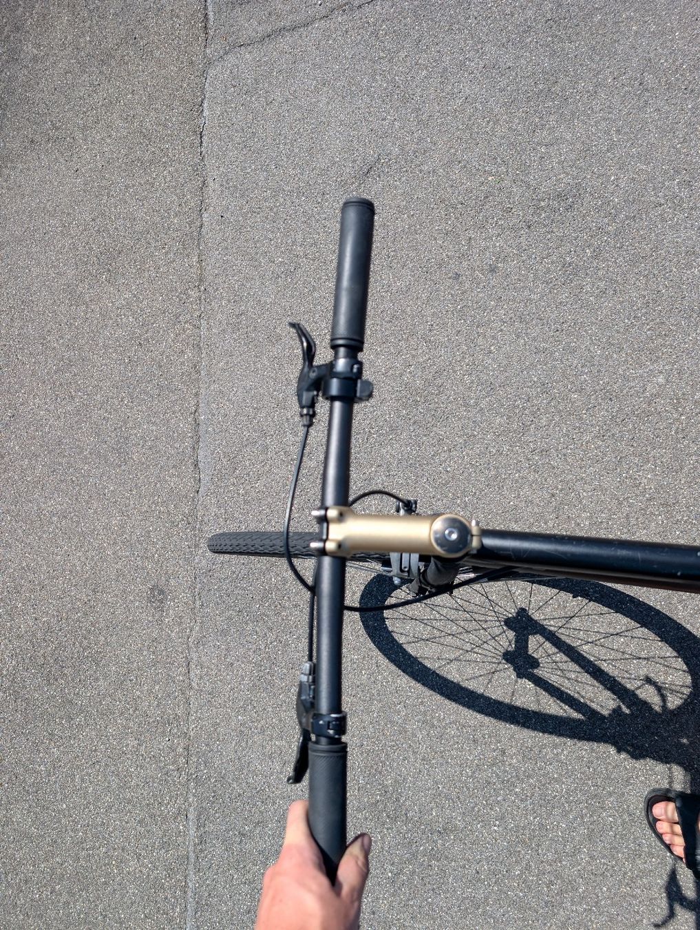 Biciclette: Velo 28" Singlespeed  – Usato da Gwatt (Thun) venduto da McFrizzel 4