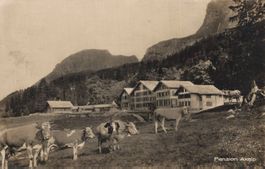 Originale alte Ansichtskarte: Pension Axalp, Brienz BE! 1926