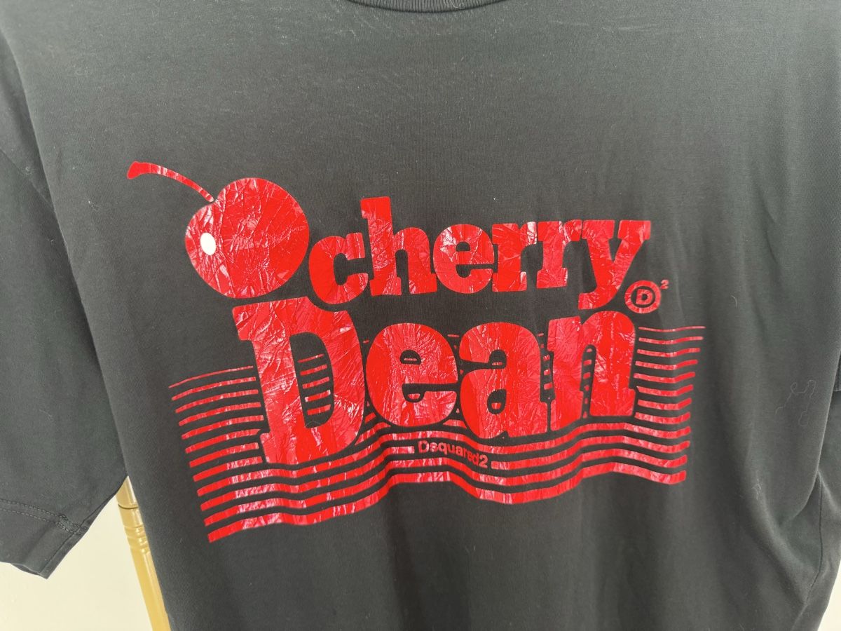 Dsquared2 T-shirt: Dsquared2 T-Shirt schwarz Cherry Dean  – Nuovo (secondo la descrizione) da Zürich venduto da di_archive 2