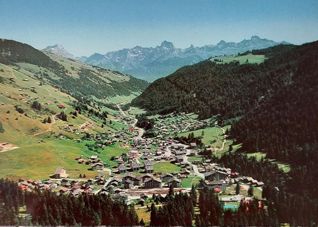 Cartoline postali: MORGINS et les Alpes Vaudoises – Usato da Delémont venduto da Domdom1
