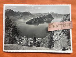 1961 Vitznau am Vierwaldstättersee vom Rigi-Dossen, Rarität!