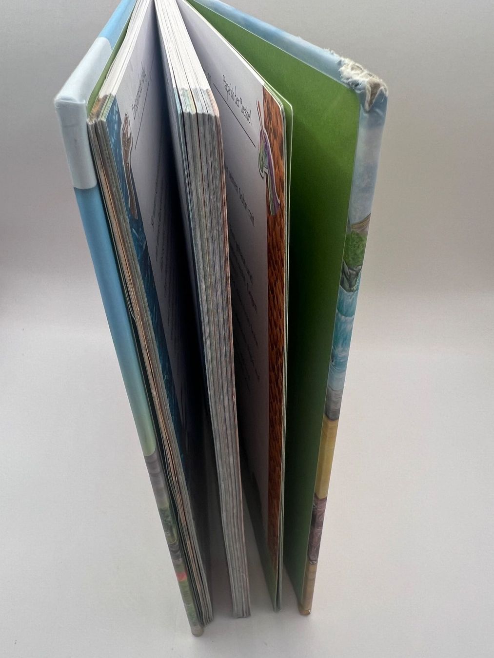 Bücher: 📖 Dinosauriergeschichten Vorlesebuch – Gebraucht aus Vaduz von NotNeeded 7