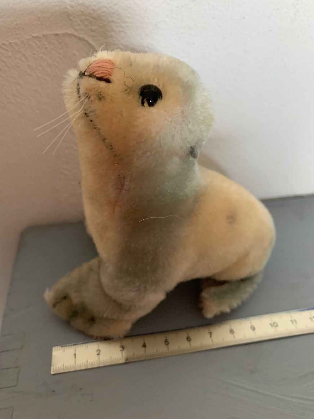 Steiff Giocattoli: Steiff Seehund mit Knopf in der Pfote – Usato da Egg b. Zürich venduto da ohtannenbaum 1