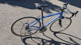 Trek Pilot 5.0 WSD Vollcarbon Rennrad/Rennvelo - ready2race