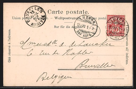 Cartoline postali: Luzern, Panorama mit Hotel und den Alpen – Usato da Berlin venduto da bartko-reher 1