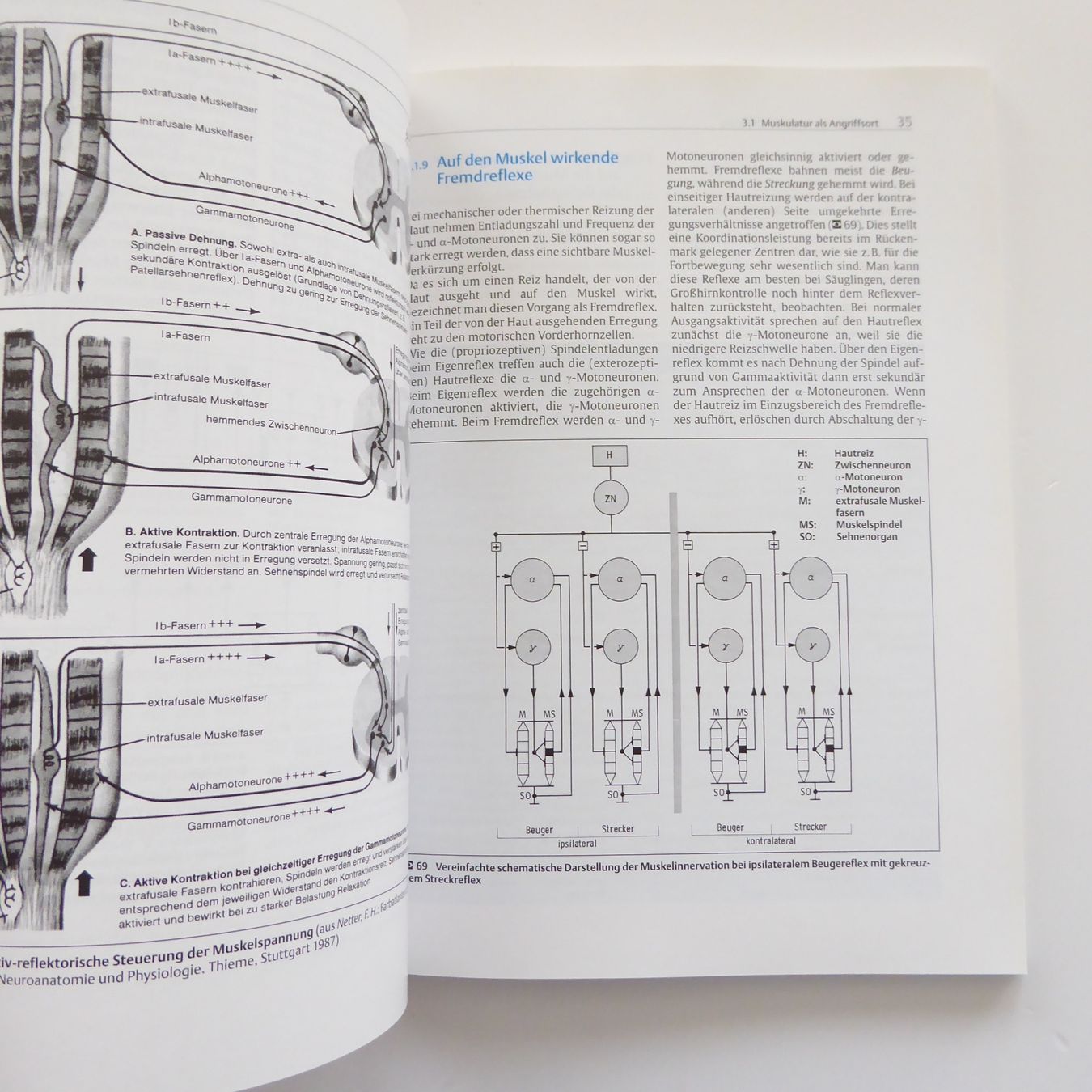 Libri: Technik der Massage - Thieme – Usato da Basel venduto da Kunterbunt12 5