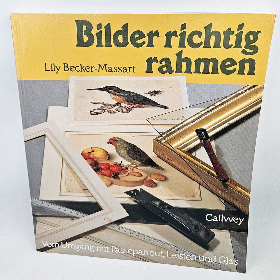Libri: Bilder richtig rahmen: Lily Becker Massart – Usato da Zürich venduto da Numark