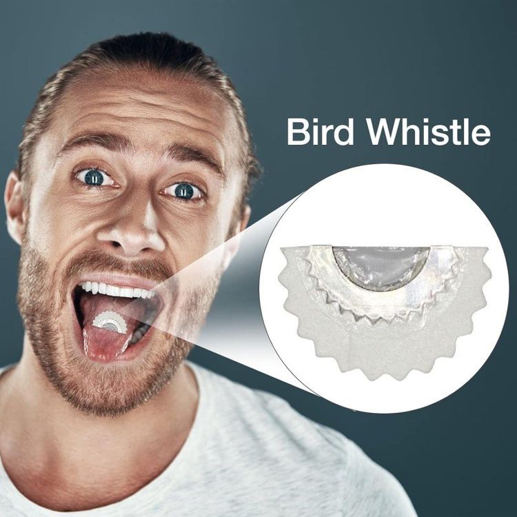 Haustier Vogel Spielzeug Papageienbarschständer Vogeltraining Sittich eBay