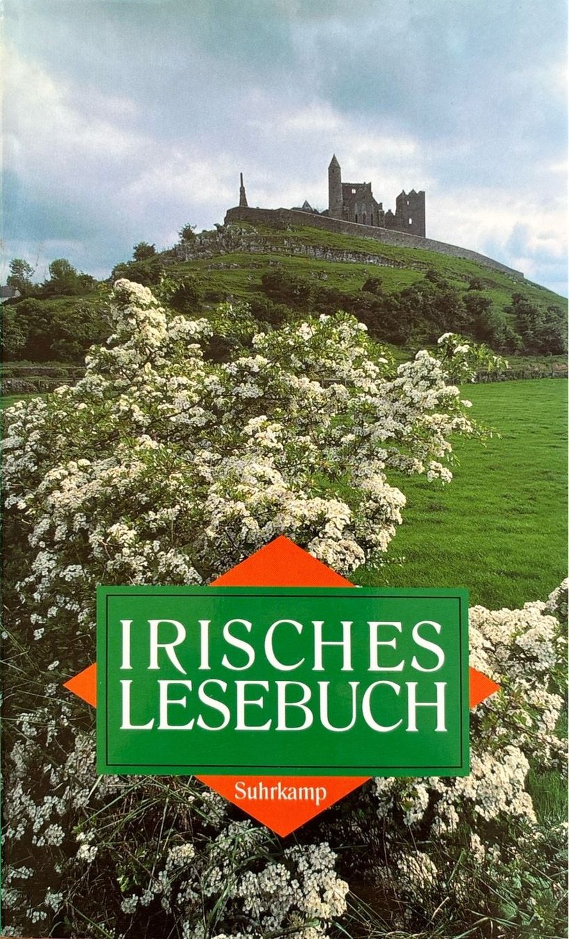 Bücher: Boch Gudrun, Irisches Lesebuch – Gebraucht aus Sarnen von Livres