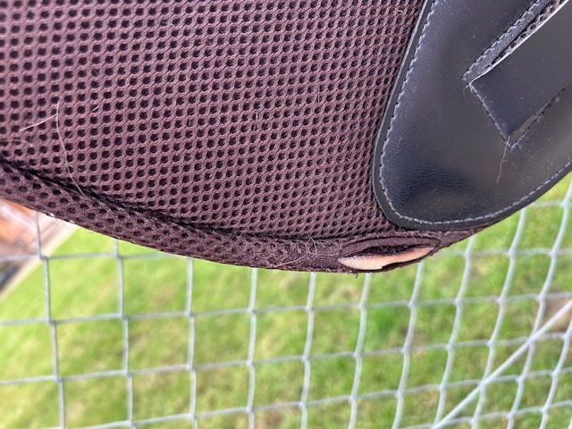 Selles, accessoires: Ghost  Sattel / Baumlos - sehr stabil – D'occasion à Obersteckholz par Tweety88 4