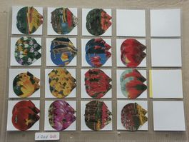 Serie    1201     Tulpen