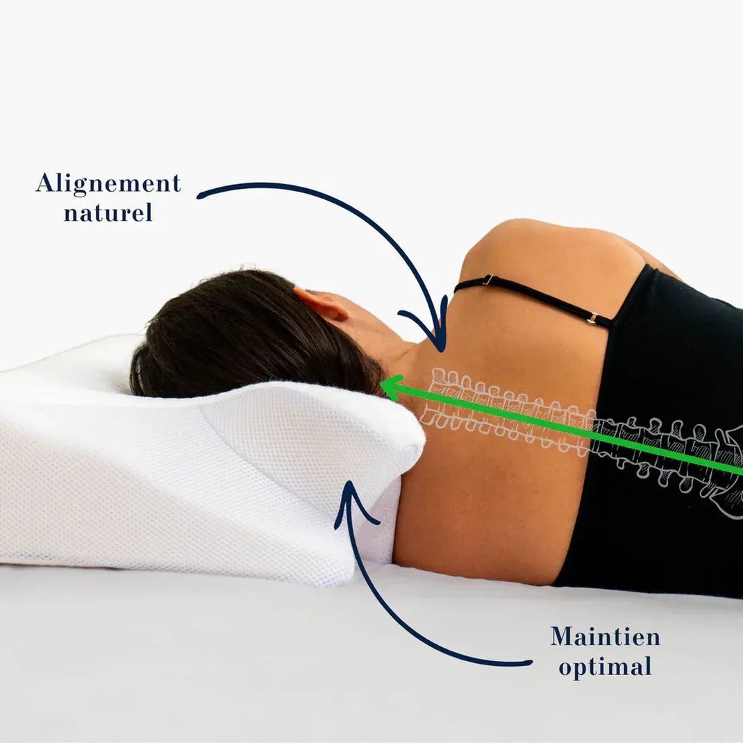 Cuscini: Coussin Orthopédique Cervical OrthoSleep – Nuovo e nell'imballaggio originale da Conthey venduto da Michel124 3