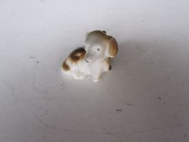 Hund 12