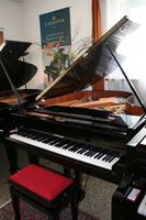W. Hoffmann V-183