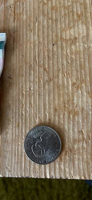 Tutti le monete: Gute erhaltene 1 Dollar Münzr – Usato da Schlieren venduto da monimax 3