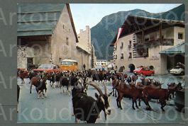 AK color Müstair GR Chasa Chalavaina, Ziegen ≈ 1980