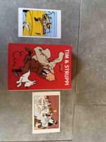 Tim und Struppi DVD Box Set 8 Discs und 2x Postkarte