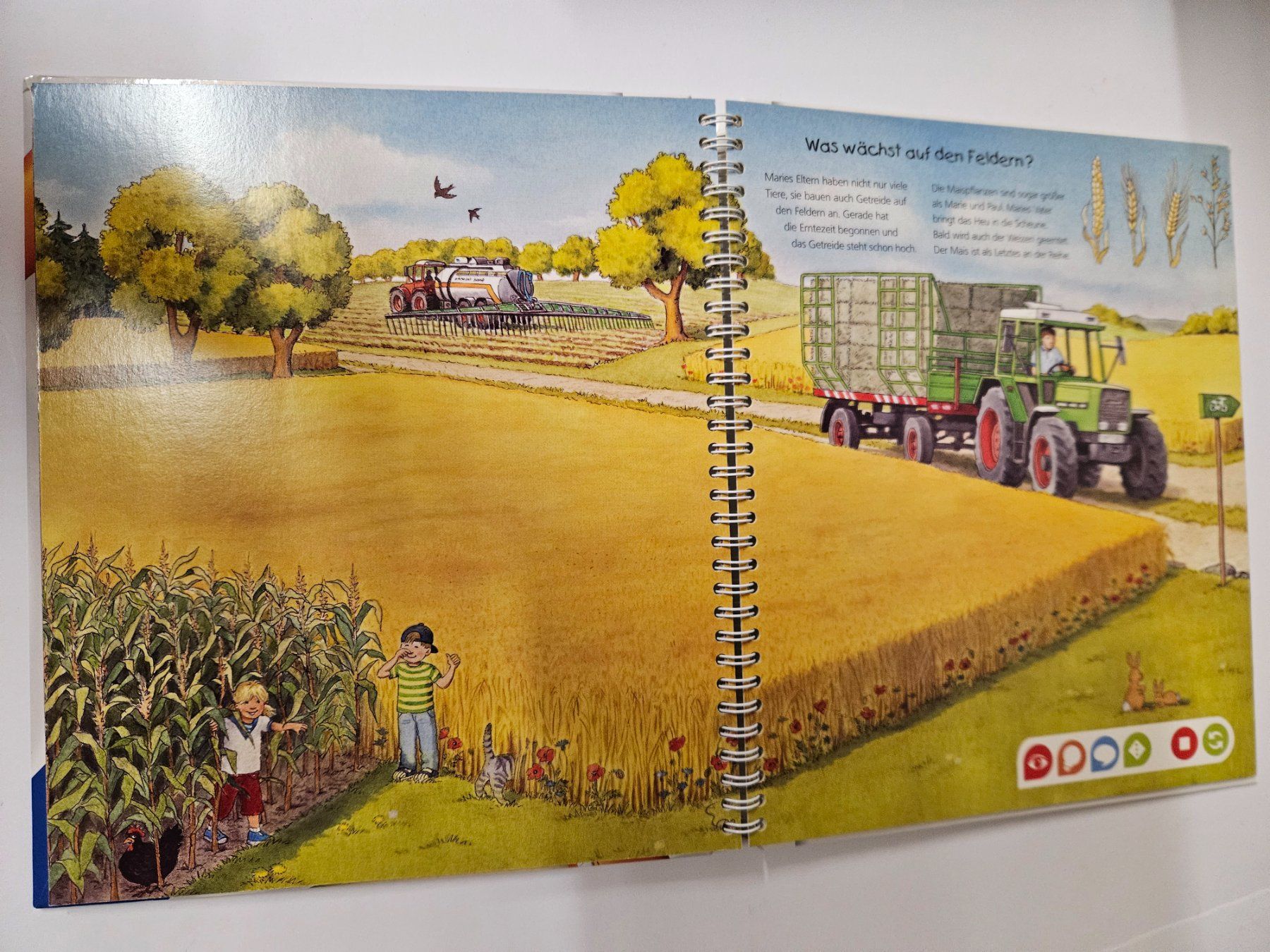 Libri: Tiptoi Buch : Entdecke den Bauernhof – Usato da Oberdorf BL venduto da BaldenEagle 1