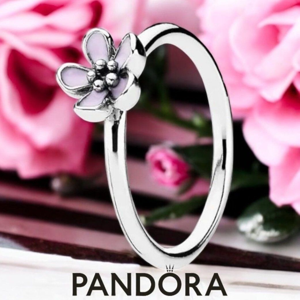 Pandora Anelli: 🐸 PANDORA 925 SILBER RING 54 – Nuovo (secondo la descrizione) da Môtier (Vully) venduto da Frogs 2