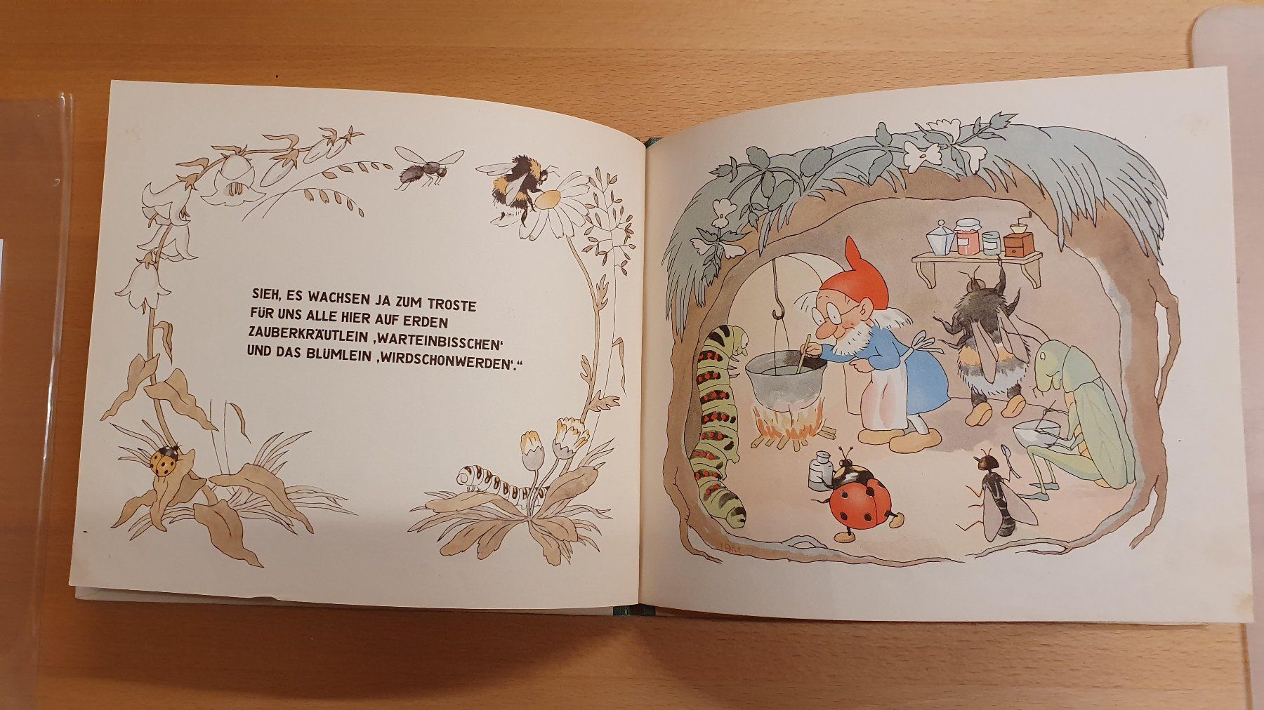 Libri: Raupelinchen lernt fliegen – Usato da Dietlikon venduto da Justus4 1