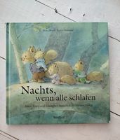 Nachts, wenn alle schlafen - Kinderbuch NordSüd Verlag