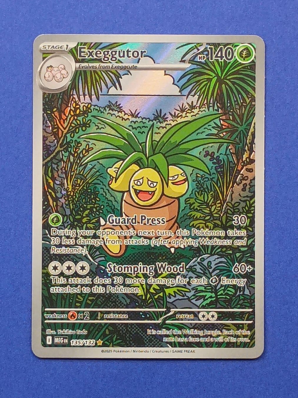 Pokémon Carte collezionabili: Pokemon Mega Evolution Exeggutor 135 IR 🇬🇧 – Nuovo (secondo la descrizione) da Zürich venduto da Solo_Poke