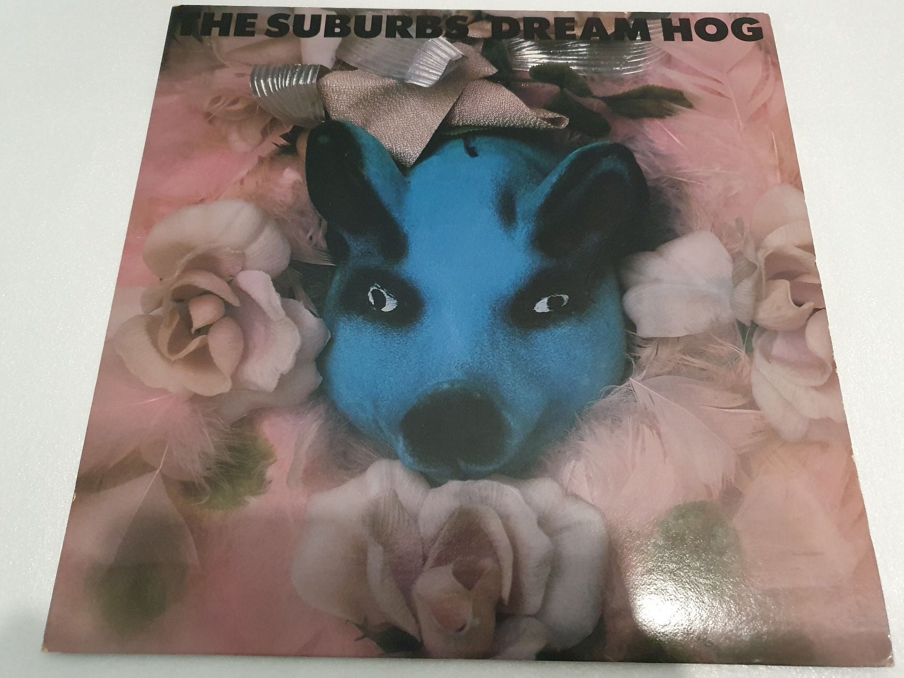 Dischi in vinile: The Suburbs – Dream Hog – Usato da Uster venduto da Vinyl-Leidenschaft