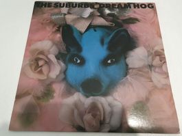 The Suburbs – Dream Hog