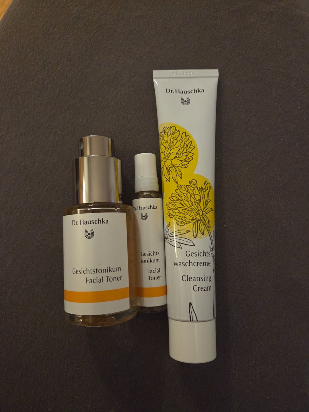 Dr. Hauschka Cura del viso: Hauschka Produkte – Nuovo (secondo la descrizione) da Rafz venduto da leoncupra 1