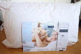 2x Daunen Kissen / Kopfkissen, Billerbeck, 65 x 100, NEU!