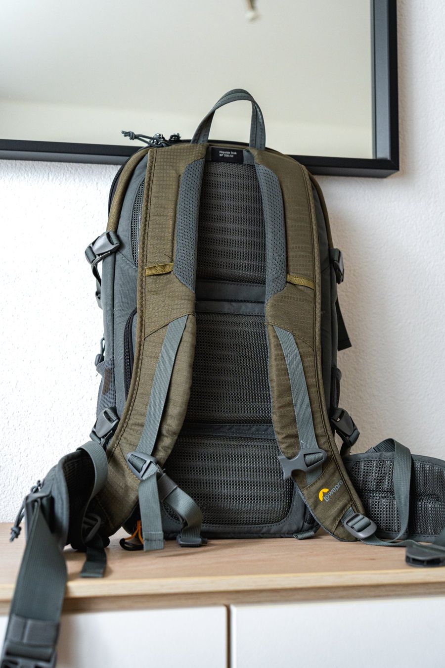 Lowepro Rucksäcke: Lowepro Flipside Trek BP 350AW – Gebraucht aus Rickenbach b. Wil von mfrei103 1