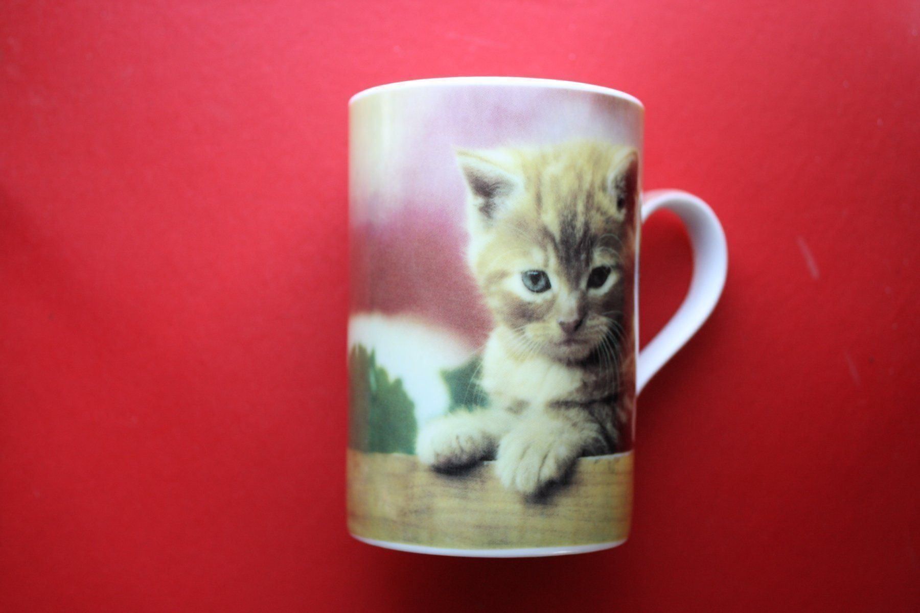 Tazze: tasse / diverses – Usato da Laupen BE venduto da Gufi57 1