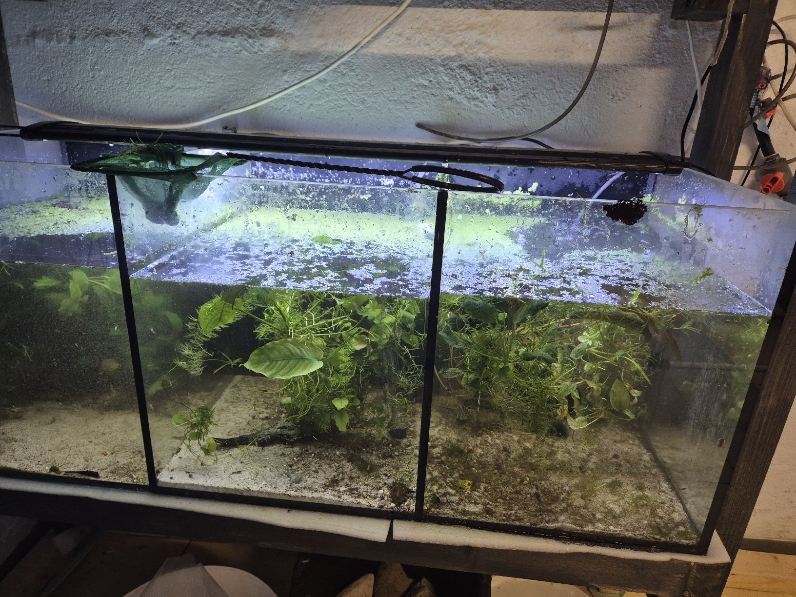 Aquarium: Aquarium 100x40x40 – Gebraucht aus Aegerten von Herbst_