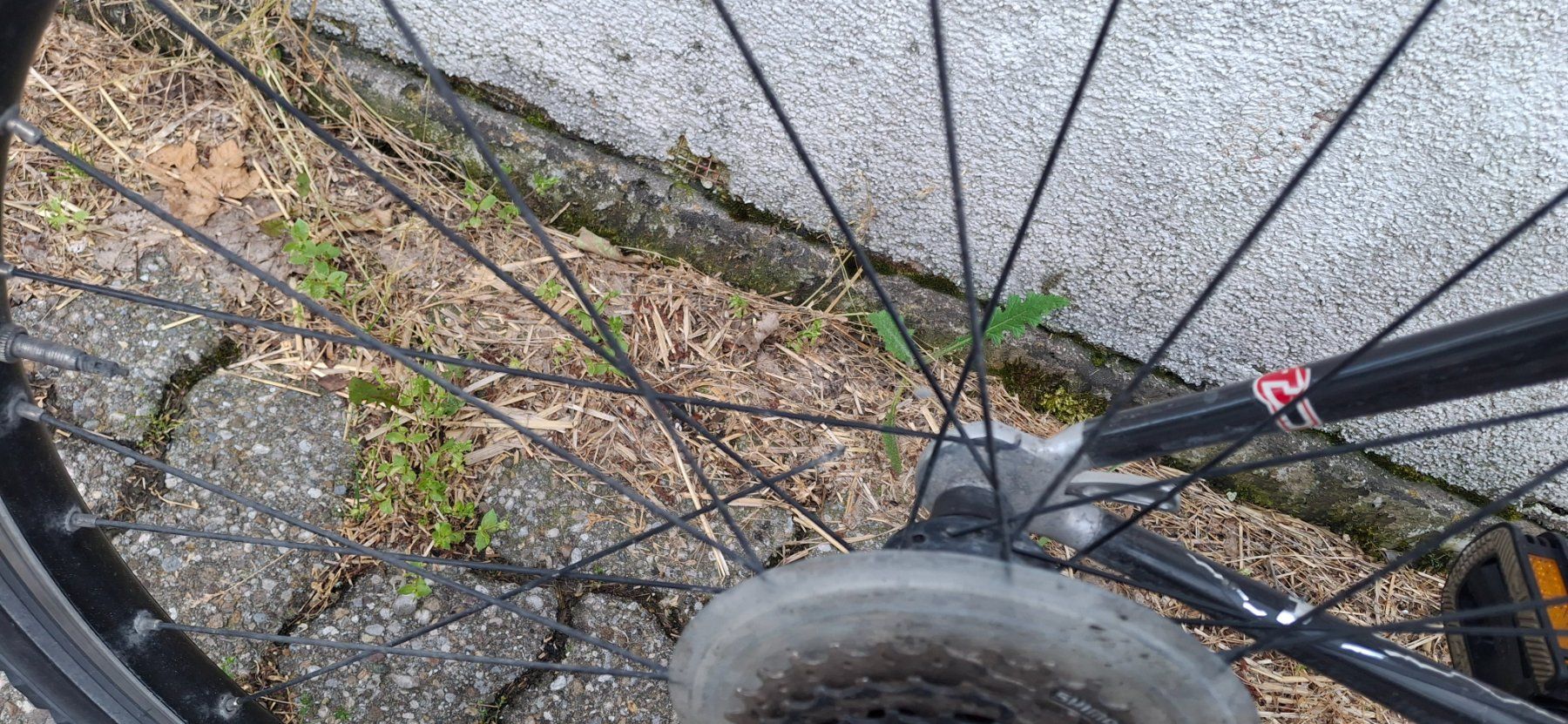 Trek Biciclette: Kult Carbon Mtb TREK – Difettoso da Kyburg venduto da JBMNT2020 3