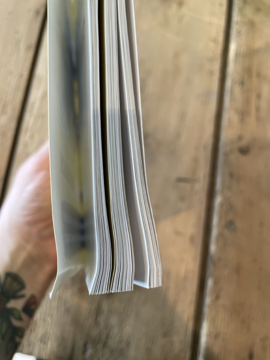 Bücher: "Abgeschnitten" von Dennis van Lierop – Gebraucht aus Diepoldsau von bellepastell 2