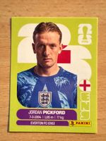 Panini Fussball WM Sticker Jordan Pickford United Edition