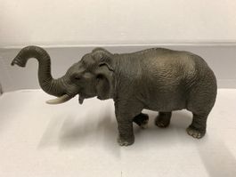 Asian Elephant - Elefant (China) - wie neu
