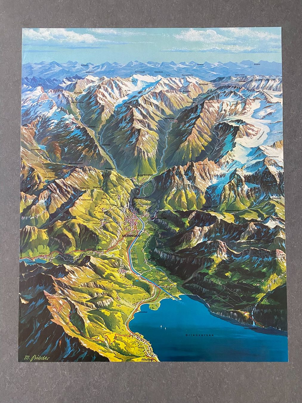 Foto & Immagini: Original Vintage Poster - Panorama Plan: Brienzersee – Usato da Zürich venduto da jesulin05