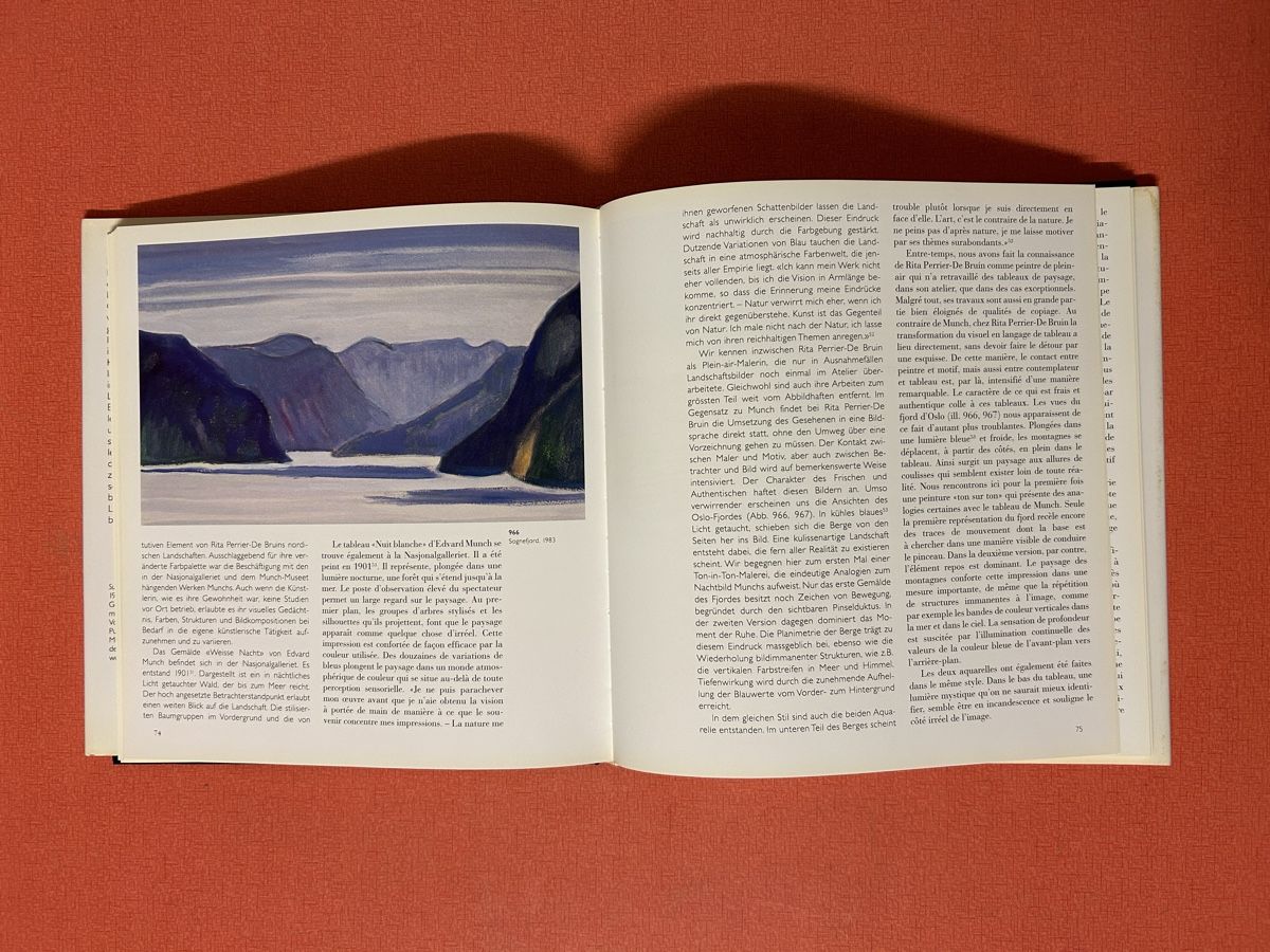 Libri: Rita Perrier-De Bruin, Kunstbuch, Malerei – Usato da Lanzenhäusern venduto da vic63 8